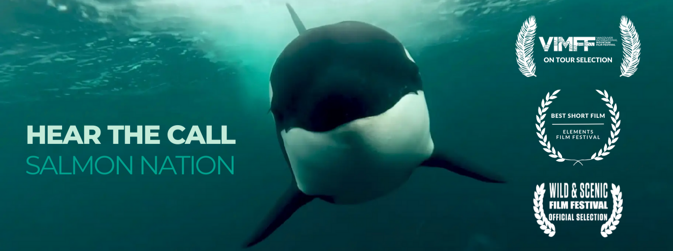 Hear the Call: Salmon Nation